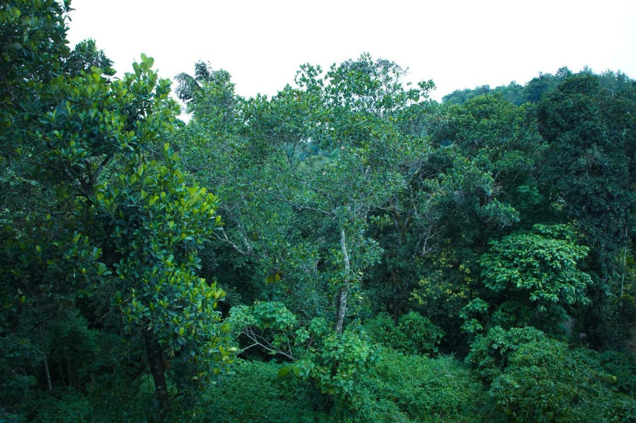 Lamond Holidays Munnar Luaran gambar